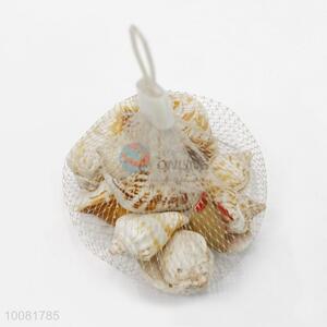 China Factory Decorative Conch Crafts