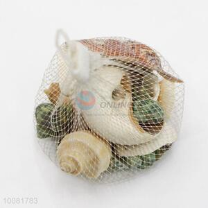 Best Selling Shell/Conch Crafts for Home Decoration