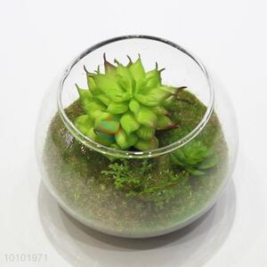 Wholesale artificial succulent plants glass miniascape
