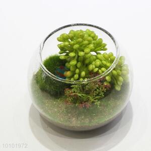 High quality artificial succulent plants glass miniascape
