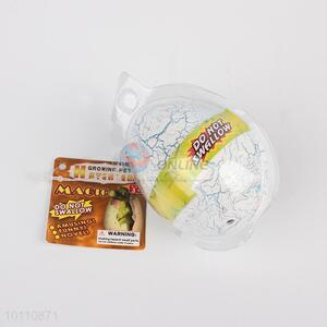Wholesale dinosaur egg toy for kids