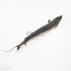 High Simulation Realistic Fish Model Chinese Sturgeon for display