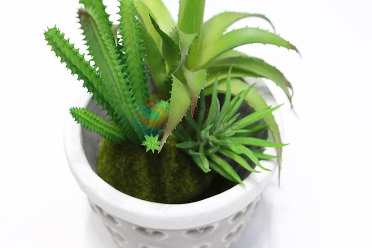 Direct Price Nice Artificial Succulents Plant