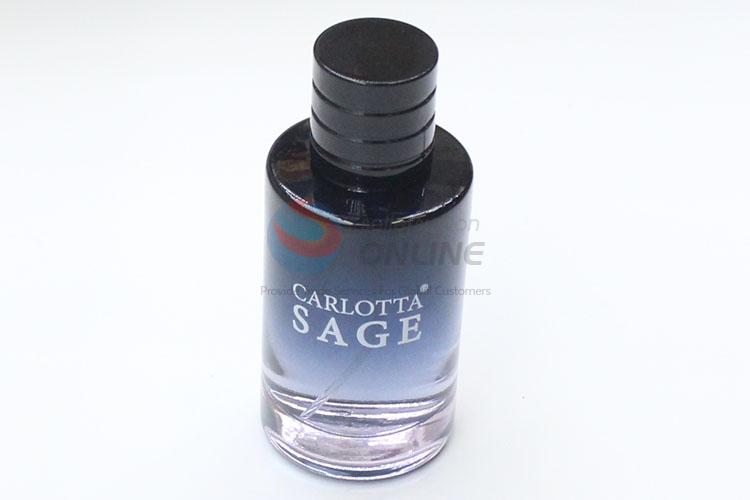 Wholesale Black 100ml Men Perfume