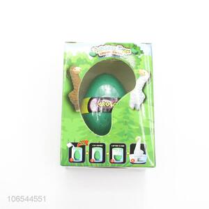 Good Quality Educational Hatching Egg Toy For Children