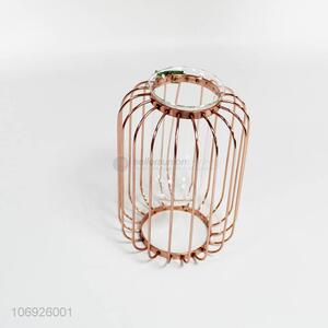 Delicate Design Decorative Glass Vase Fashion Crafts