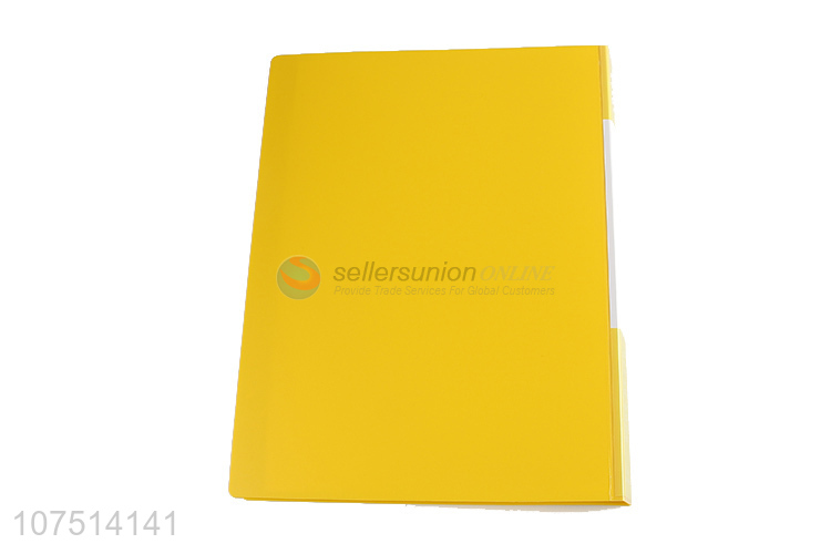 New Arrival Plastic Display Book File Folder Clear Book
