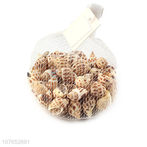 Best Sale Natural Seashells For Fish Tank And Home Decorations