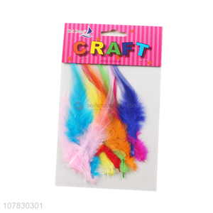 Wholesale Beautiful Colorful Chicken Feather For Kids DIY Crafts