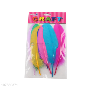 Good Sale DIY Decorative Colorful Feather Kids Handcrafts
