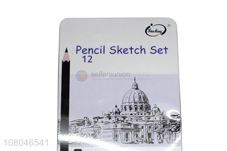Yiwu market 12 pieces 4H-14B professional sketch pencil set for artists