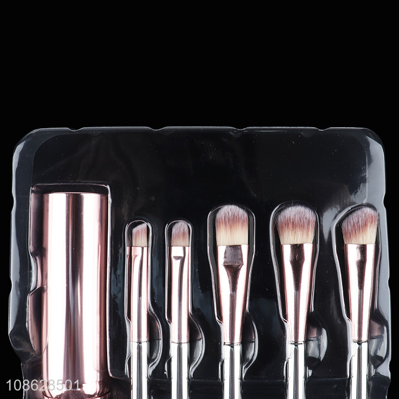 Most popular 6pcs professional makeup brush cosmetic brush