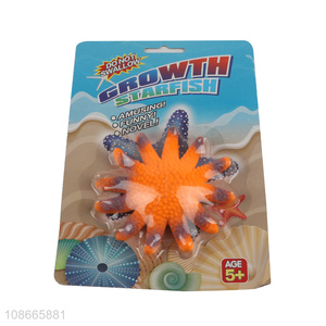 Popular products starfish soft water growing toys for kids