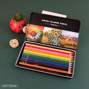 Promotional 12 colors water soluble color pencils artist drawing pencils