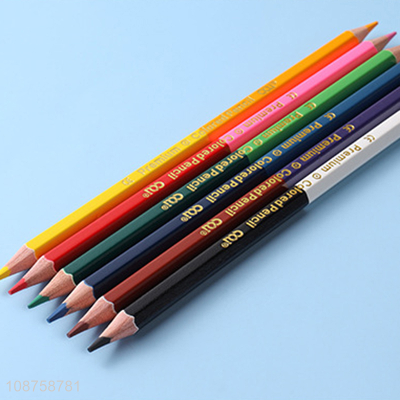 New product 12-color double ended colored pencils artist drawing pencils