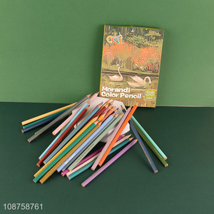 Wholesale 36 colors Morandi colored pencils art supplies for teens kids
