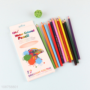 Hot selling 12-color water soluble color pencils for teens kids adults