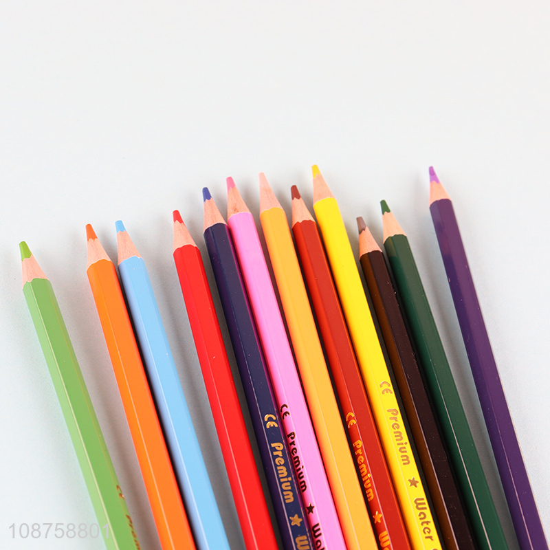 Hot selling 12-color water soluble color pencils for teens kids adults