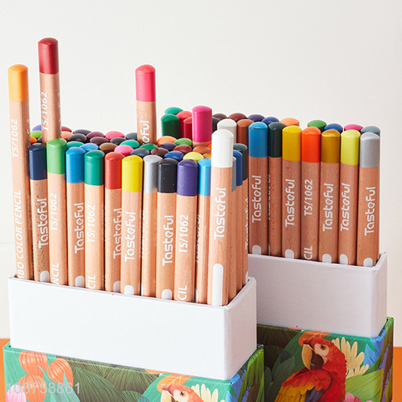 Wholesale 48-color jumbo premium colored pencils wooden drawing pencils