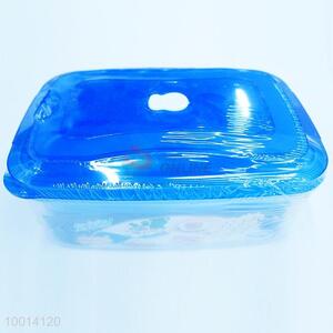 Blue Cover 5PC Plastic Preservation Box Set