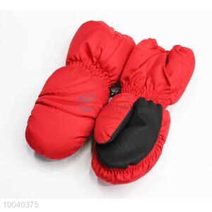 Red Warm Gloves/Ski Gloves/Winter Gloves