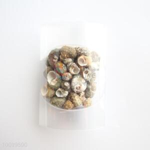 Popular good abalone shell/shell crafts