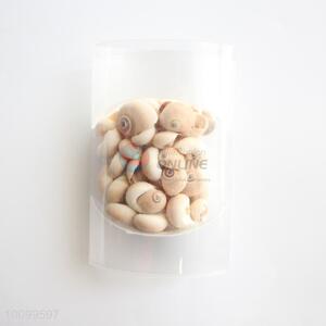 Wholeasale natural littoraria snail shells/shell crafts