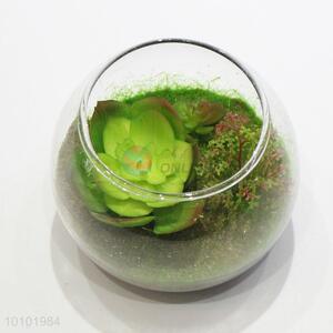 Wholesale artificial succulent plants glass miniascape