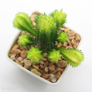 Permanent Green Plant Artificial Succulent Plants Cactus