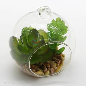 High Quality Artificial Succulent Plants with Glass Pot