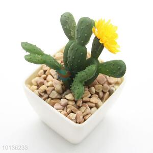 Small Potted Succulent Plants Decor Mini Plants