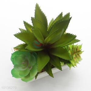 Realistic Artificial Green Succulent Plants Desk Decoration