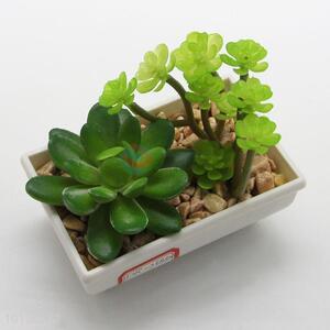 High Quality Ornamental Plants Artificial Home Decoration Succulent Plant