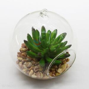 Ornamental Artificial Succulent Plants with Glass Pot Desk Decoration