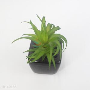 Super quality indoor artificial plants