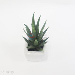 Wholesale decoration plastic pots for plants