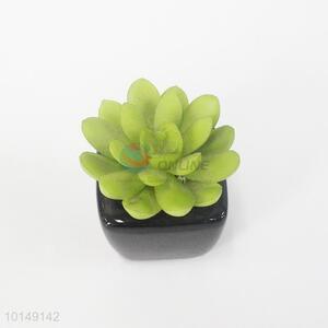 Wholesale high quality artificial potted succulent plants