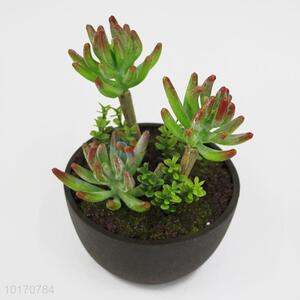 Desk Decoration Artificial Succulent Plants Wholesale