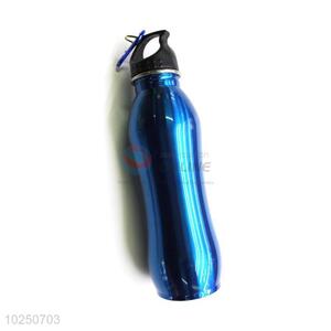 Fashion Stainless Steel Water Bottle Cheap Sports Bottle With Carabiner