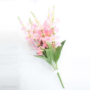 Recent Design high quality  gladiolus