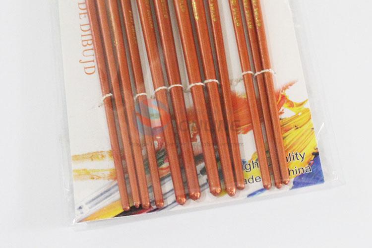 Durable Paintburshes Set For Painting