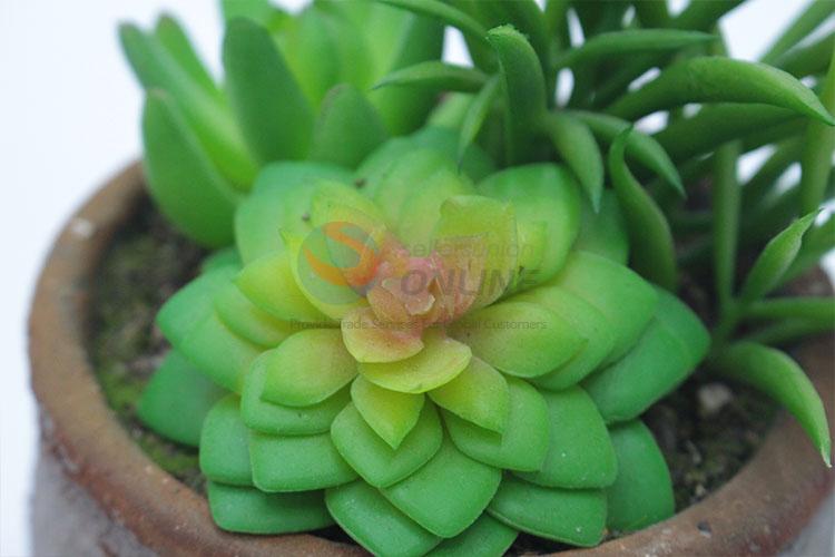 Comfortable artificial succulent plant pot round flowerpot with 2 ears