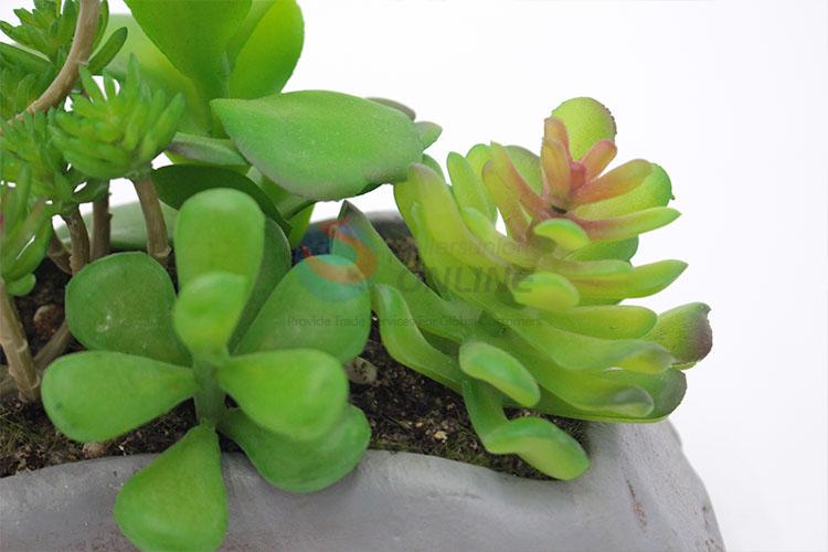 Nice classic cheap simulation succulent plants