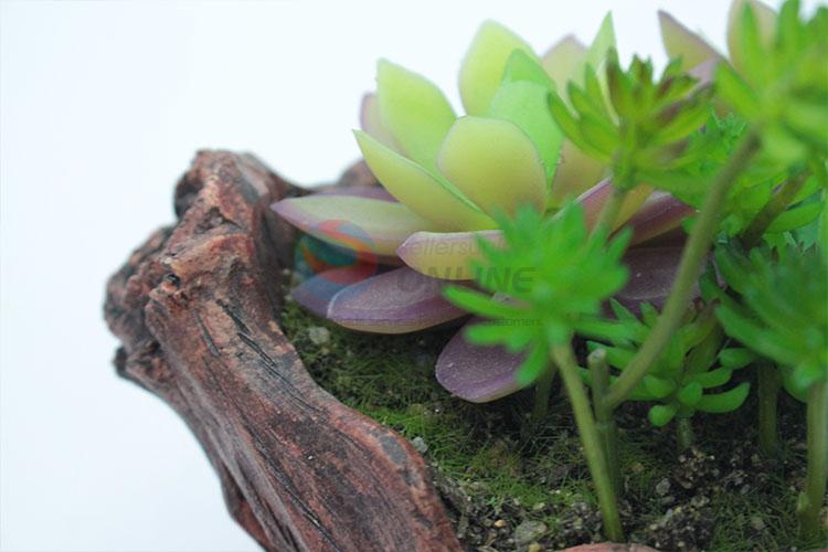 New arrival stump modelling flowerpot succulent plants