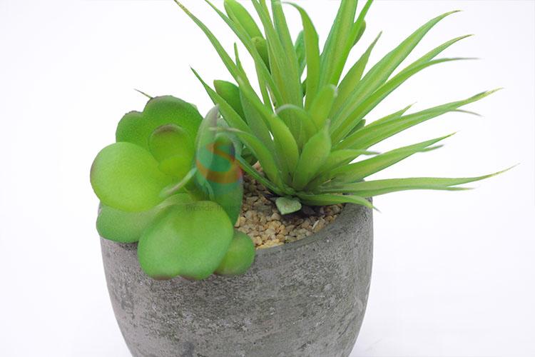 Crazy selling round flowerpot fleshy potted plants