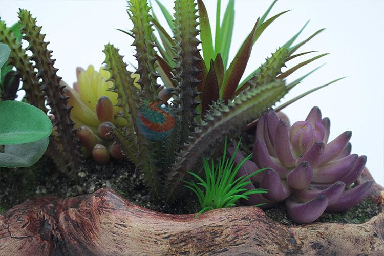 Eco-Friendly simulation succulent plants