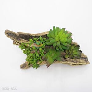 Wholesale Plastic Succulent Plant Ornamental Plants