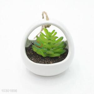 Unique Design Suspensible simulation succulent plants