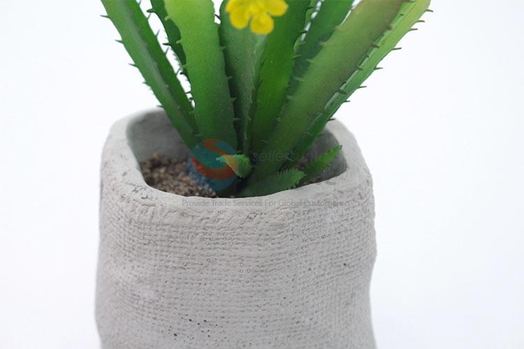 Low Price Plastic Succulent Plant Ornamental Plants