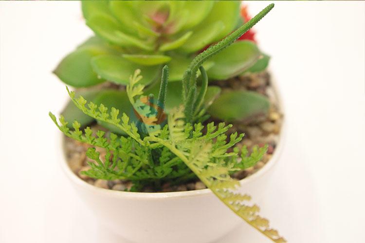 Top Quality Artificial Succulent Plants Home Decoration